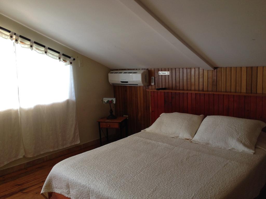 Hotel Posada Los Delfines Бокас дел Торо Стая снимка